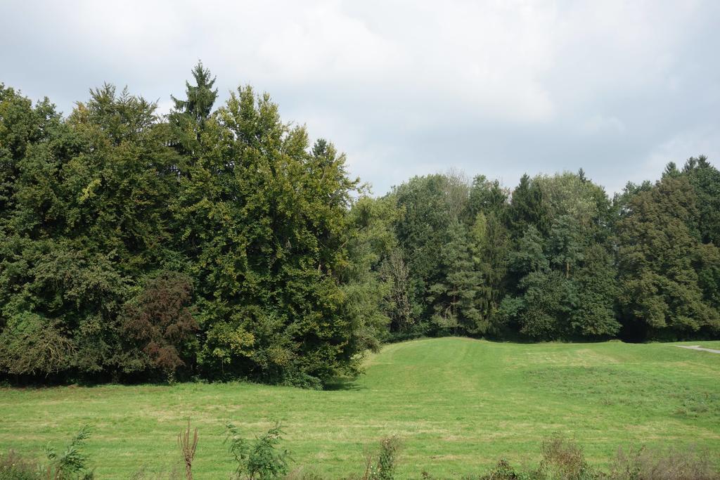 Hotel Frauenfeld Ruang foto